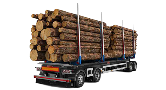 Container Bulk Transport Trailer